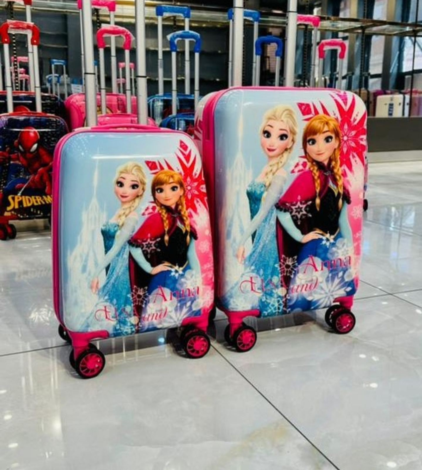 valise